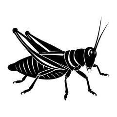 Grasshopper Silhouette vector illustration