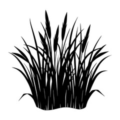 Grass Silhouette vector illustration