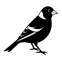 Goldfinch Silhouette vector illustration