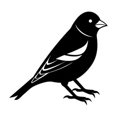 Goldfinch Silhouette vector illustration
