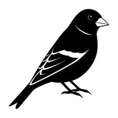 Goldfinch Silhouette vector illustration