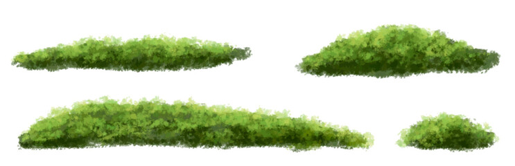 set of grass, Vector of green tree side view isolated on white background ,watercolor tree elevation for landscape concept,environment scene,eco design, garden for spring