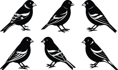 Goldfinch Silhouette vector illustration