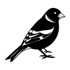 Goldfinch Silhouette vector illustration