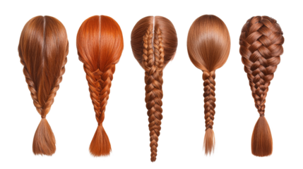 Collection of Six Braided Hairstyles in Various Shades of Brown on Transparent Background