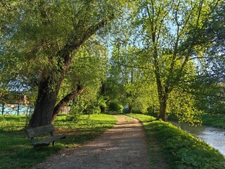 path in the park