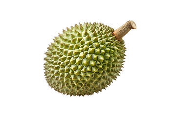 Durian fruit exotic tropical spiky green delicious Asian food