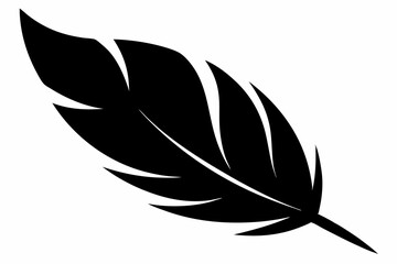 Feather Silhouette vector illustration