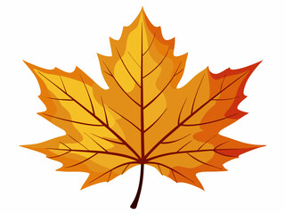 autumn maple leaf vector                          