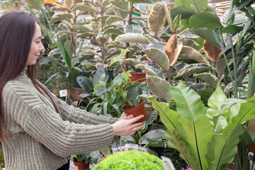 In a flower shop, a girl chooses flowers for decorating a house. The buyer looks at the flowers...