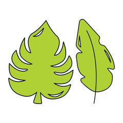 An image of a set of tropical green palm leaves on a white background in a flat style. Exotic palm plants and flowers in the jungle.