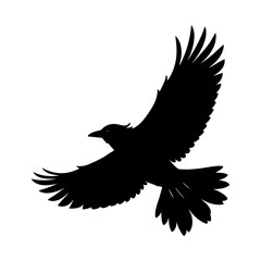 Obraz premium Flying Crow Silhouette vector illustration