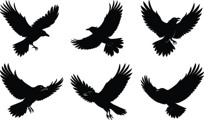 Obraz premium Flying Crow Silhouette vector illustration
