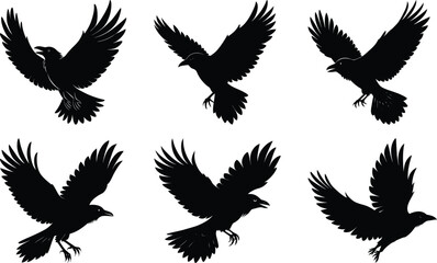 Flying Crow Silhouette vector illustration