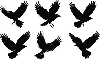 Flying Crow Silhouette vector illustration