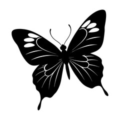 Flying Butterfly Silhouette vector illustration