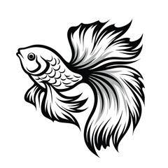 Betta Fish Illustration, Black and White Elegant Ornamental Fish with Flowing Fins