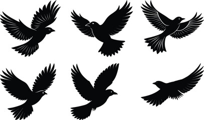 Flying Bird Silhouette vector illustration