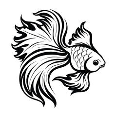 Elegant Black and White Betta Fish with Flowing Fins and Detailed Scales