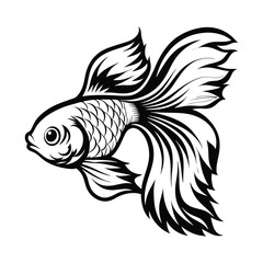 Elegant Black and White Betta Fish Silhouette, Ornate Fins, Aquatic Animal Design