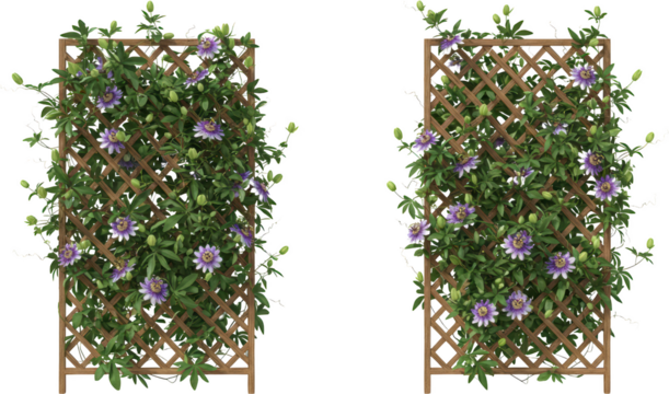Passion Flower Vine Climbing Wooden Lattice Garden Trellis Panel Floral Decoration