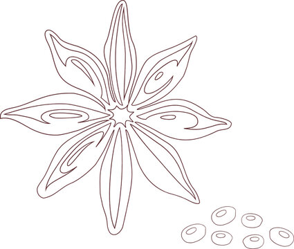 recommend clip art: Simple line illustration of star anise spice with detailed seed pods and individual seeds on white background.