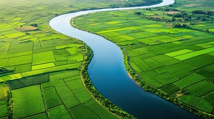 Calm blue river meandering through a patchwork of green farmland on white surface.