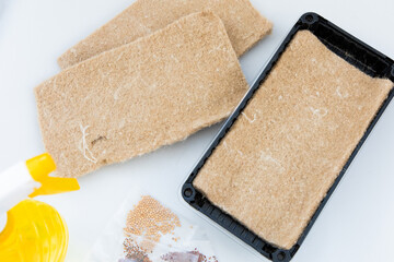 Growing microgreens using seed mats and sprouting containers for home gardening