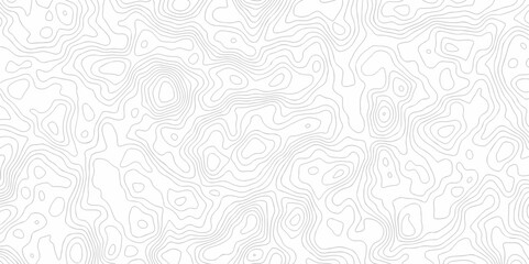 Abstract geometric topography curve grid map and topo contour map on white background. Seamless pattern with lines Topographic map design.	
