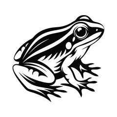 Stylized Monochrome Frog Illustration, Detailed Black and White Amphibian Isolated