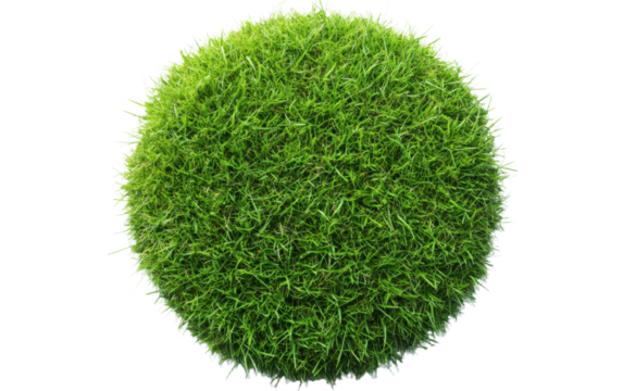 Green grassy circle on transparent or white background,png