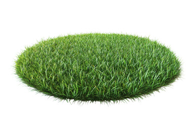 Green grassy area with on transparent or white background,png