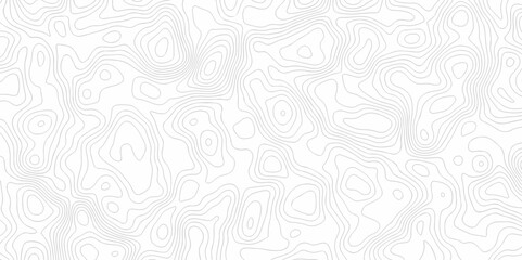 Abstract geometric topography curve grid map and topo contour map on white background. Seamless pattern with lines Topographic map design.	
