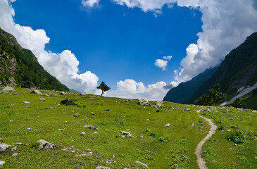 Fototapeta premium mountain landscape with clouds AND A TREE 