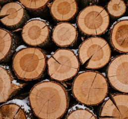 Stacked firewood, cross-sections of tree trunks, circular wood patterns