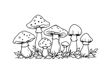 Mushroom with leaves line art
