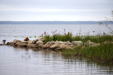 
A calm body of water with a rocky shore on the right side, where various aquatic plants grow.