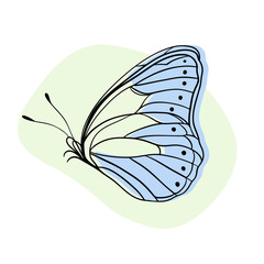 Beautiful butterfly insect with color wings. Black contour and blue palette shadow. Beauty nature and wildlife. Summer and spring hand-drawn decorative elements