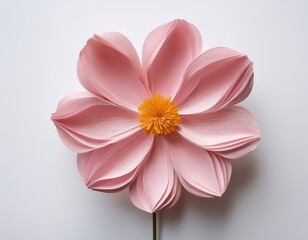 Fototapeta premium isolated single cosmos paper flower made from crepe paper