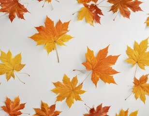 Fototapeta premium Several maple leaves in various stages of fall color descent against pure white , autumn, autumn foliage