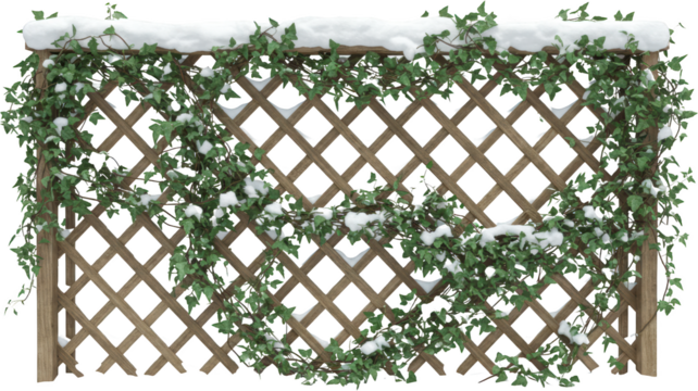 Winter Wonderland Snow Covered Ivy on Wooden Lattice Fence