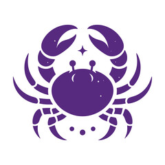 Crab Spider Web Icon Vector Illustration with Silhouette Design
