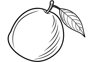 Minimalist Vector Line Art of Fruits | Black and White Fruit Illustration | Logo Icon Clipart Design