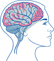 Human Brain Neural Pathways Art