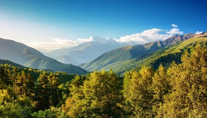 Fototapeta premium sunny landscape of mountains and trees in variaki georgia