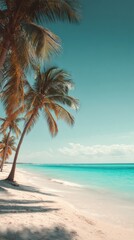 Fototapeta premium Tropical Beach with Palm Trees and Turquoise Water, Perfect Escape