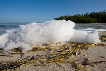 Sea Foam washed up on the beach.