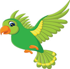 Parrot vector and illustration