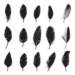 Set of bird feather vector illustrations - hand drawn bird feather - black and white bird feather isolated on white background
