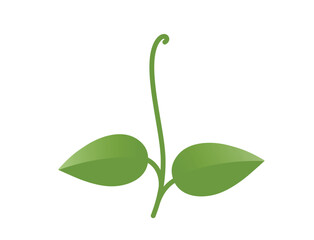 Green sprouted plant illustration. Spring, planting and nature design element. Isolated vector image